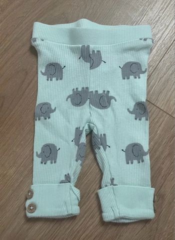 Legging vert motif éléphant - 1 mois 