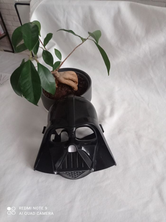 Masque dark vador hasbro 2014 - photo numéro 2