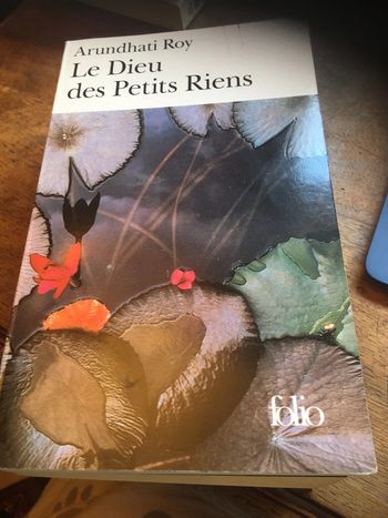 Le dieu des petits riens