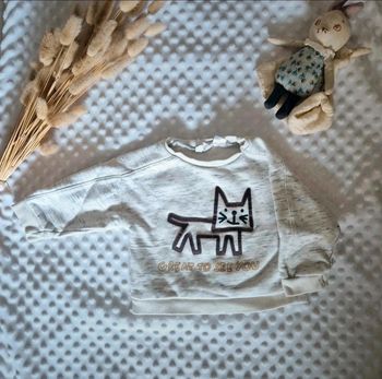 Jolie pull garçon Zara 6-9 mois