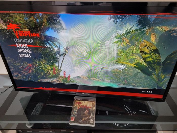 Jeux vidéo PS3 dead island riptide - photo numéro 4