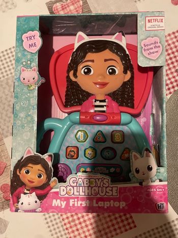 Ordinateur Gabby chat