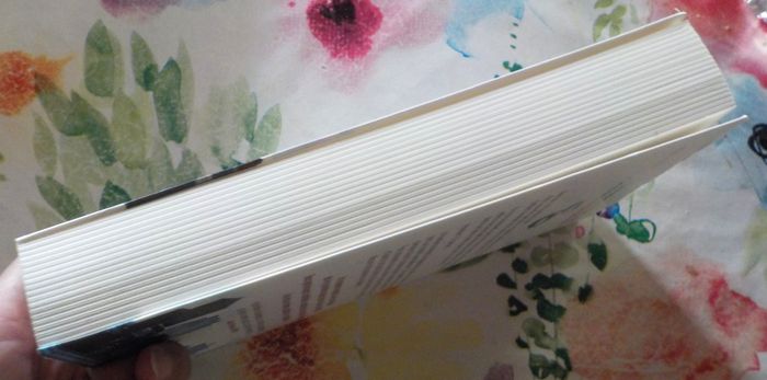 CENTRAL PARK de Guillaume MUSSO Ed. XO - photo numéro 5