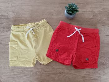 Lot 2 shorts