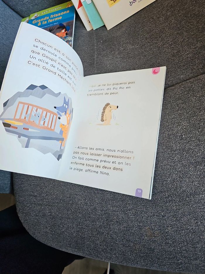 Lot livres apprentissage et activitées - photo numéro 5