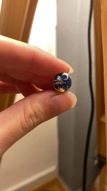 Charm pandora