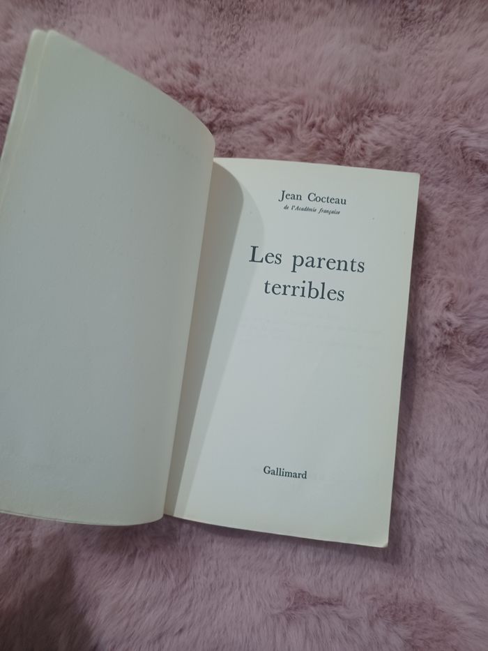 Livre: les parents terribles - photo numéro 3