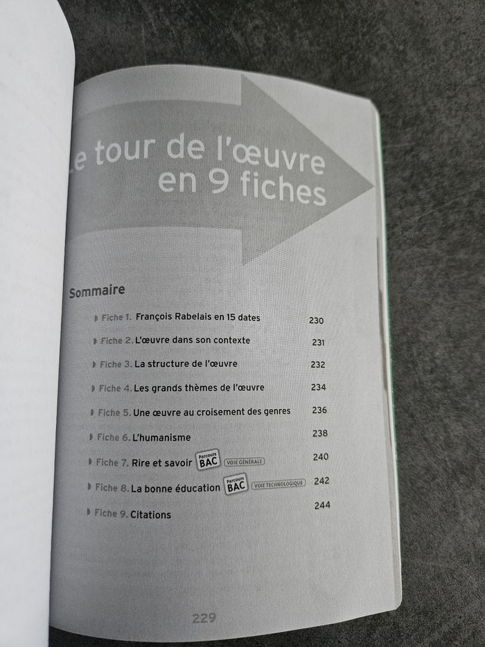 Livre scolaire "Gargantua" de François Rabelais - Edition BAC - photo numéro 7