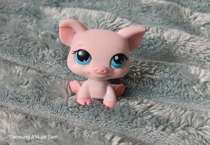 Petshop cochon 87