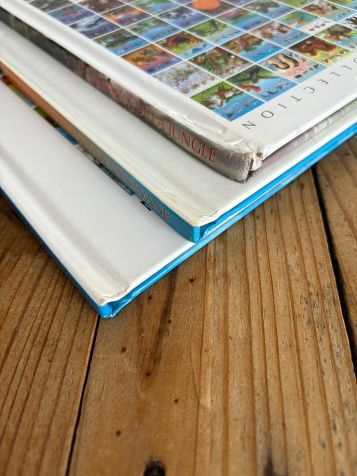 Lot de livres l’imagerie - photo numéro 9