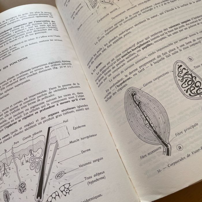 Manuel Le corps humain vintage - photo numéro 5