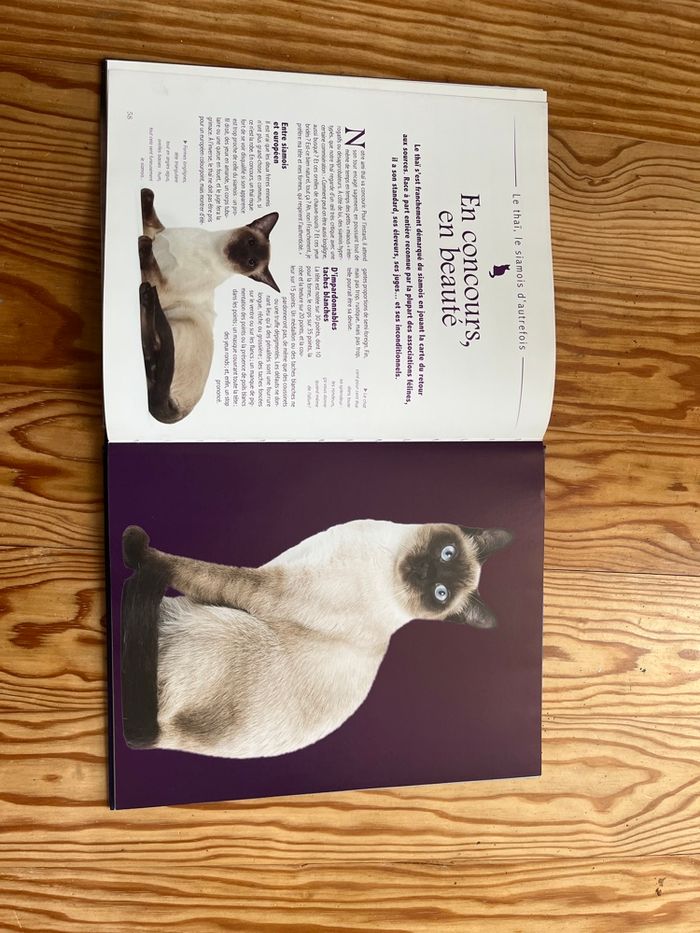 Livre Le Siamois - photo numéro 3