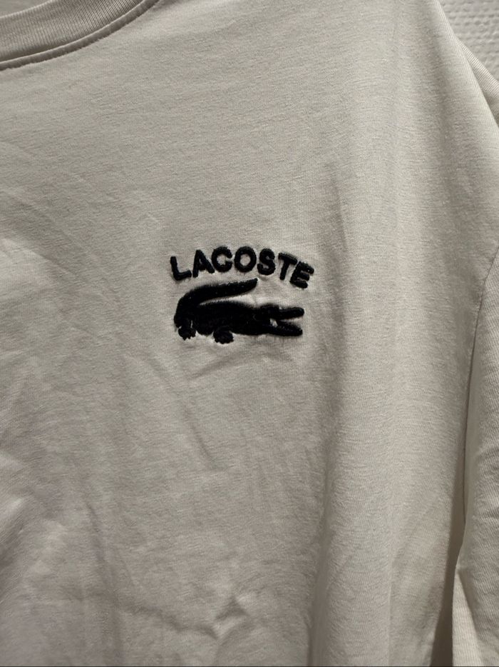 Teeshirt homme - photo numéro 5