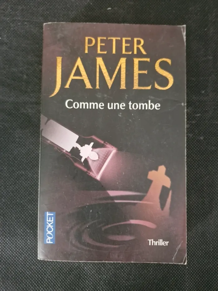 Comme une tombe - Peter James - photo numéro 2