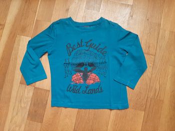 Haut fin Raton Laveur