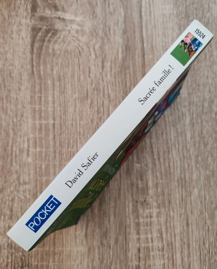 David Safier 🟣 Sacrée famille - photo numéro 4