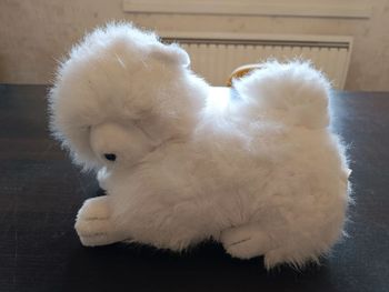 Peluche