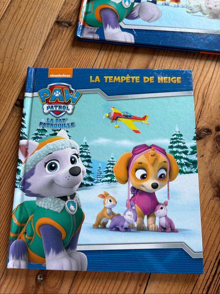 Lot de 20 livres pat patrouille - photo numéro 10