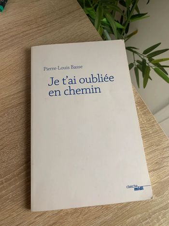 Livre pierre louis basse je t ai oubliée en chemin