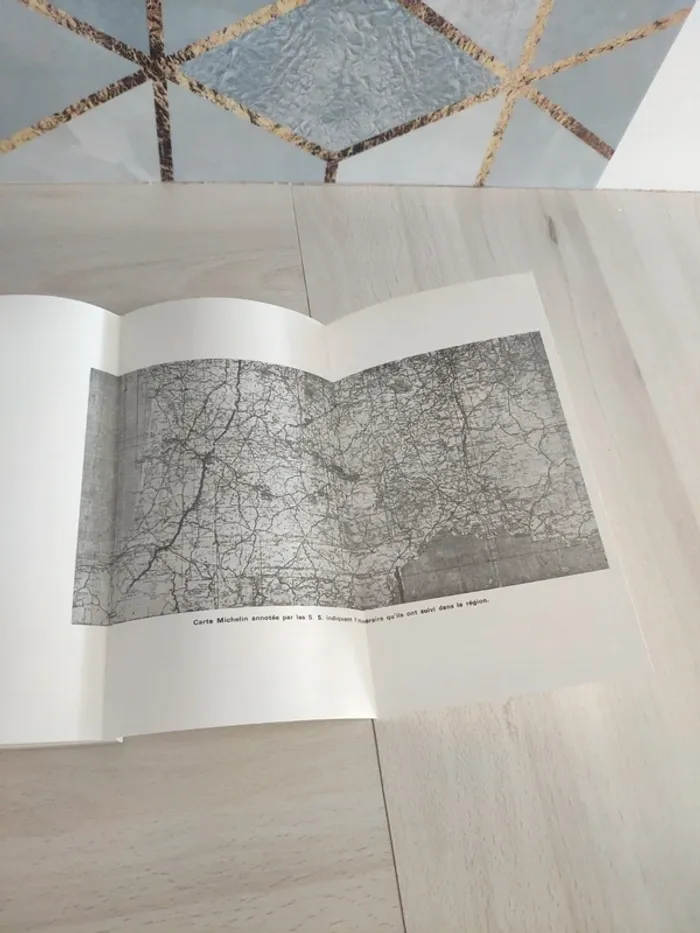 Livre Oradour sur glane vision épouvante Pauchou Masfrand - photo numéro 9