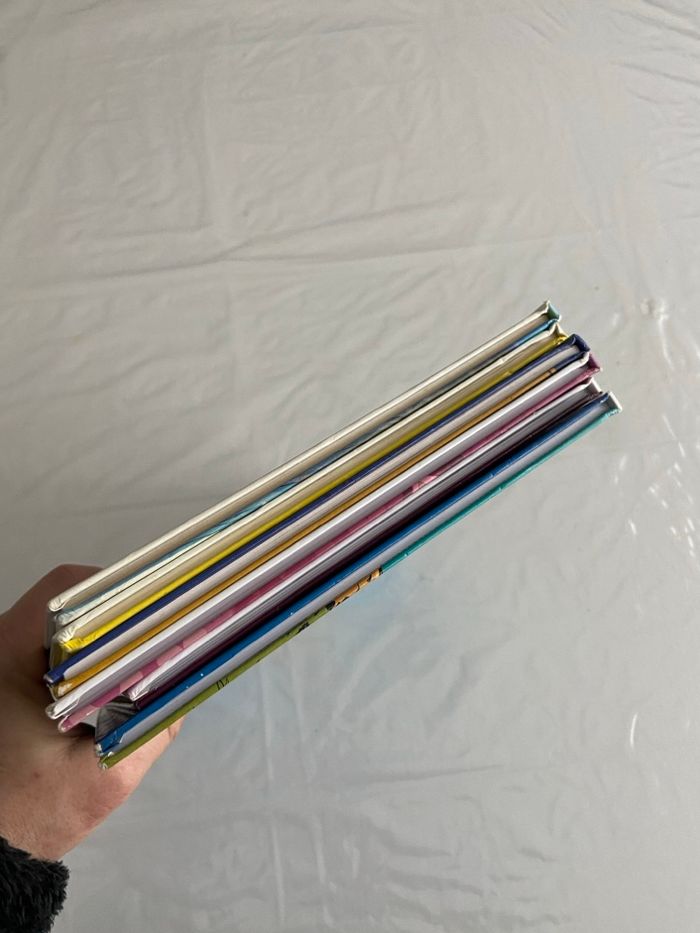 Lot 6 BD Jeunesse - Idéal premières lectures (Ernest & Rebecca, Pif...) - photo numéro 6