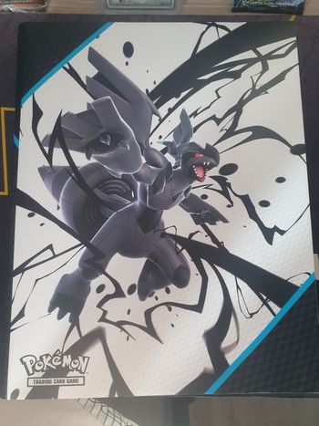 Classeur pokemon