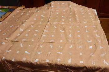 Housse de couette + Taie d'oreiller