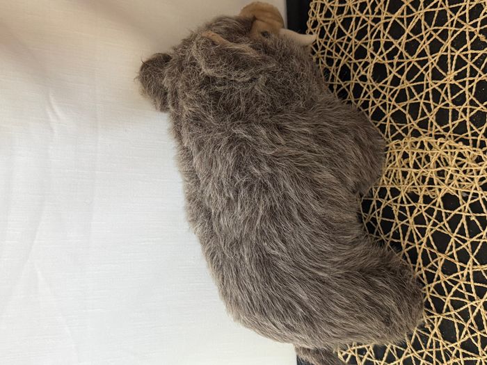 peluche sanglier - photo numéro 5