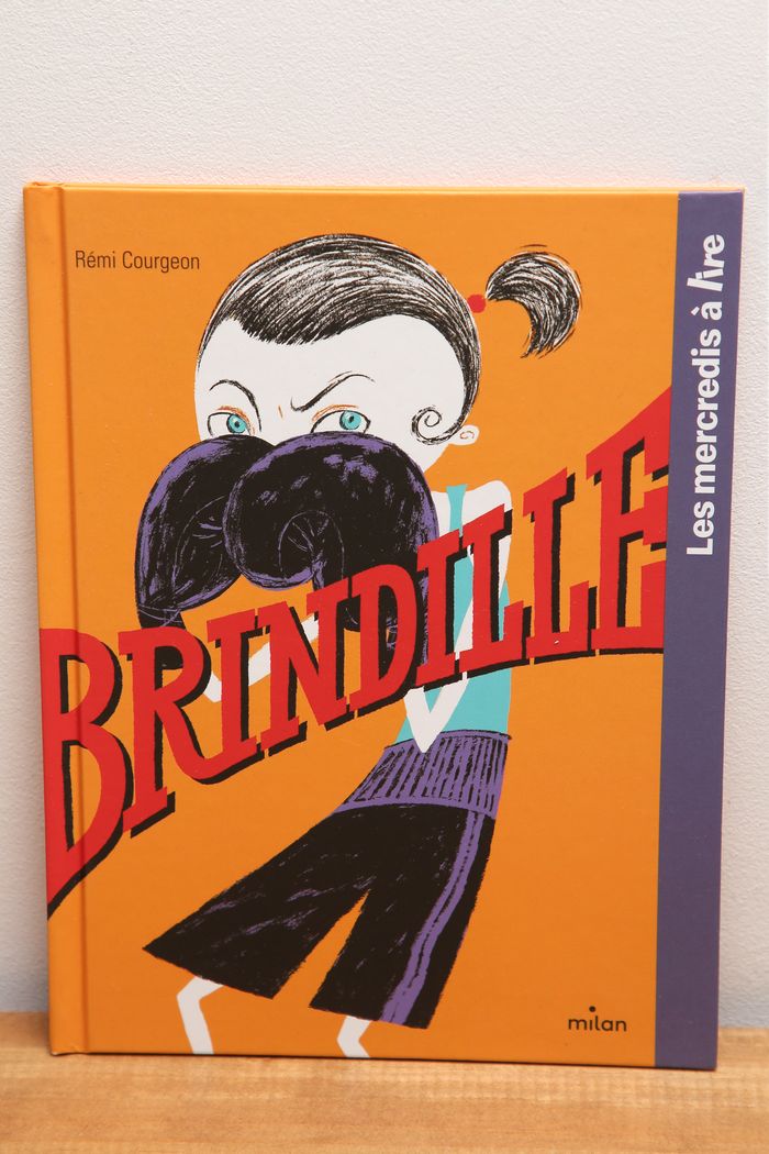 Brindille - photo numéro 1