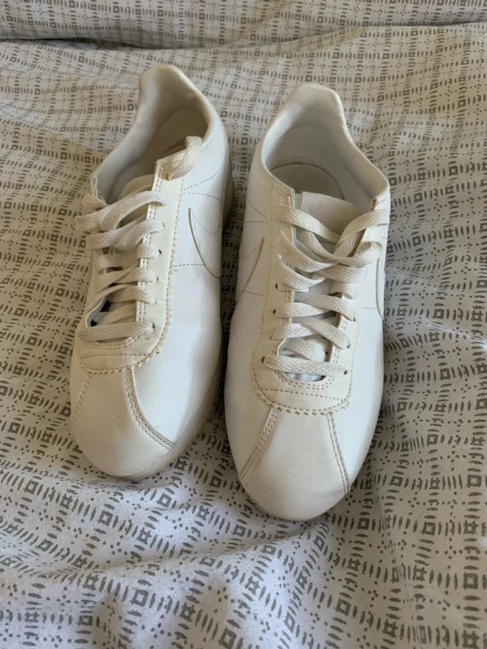 Cortez