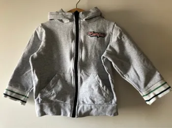 Petit bateau sweat à capuche gris 4 ans