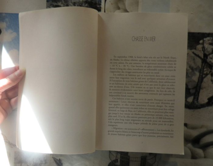 Miracle en Alaska par Tom Rose Ed. Michel Lafon - photo numéro 4