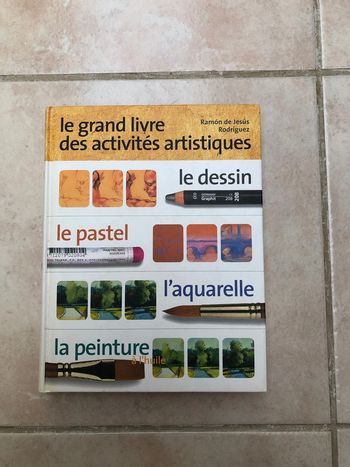 Le grand livre des activités artistiques