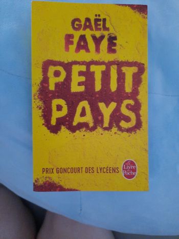 Petit pays