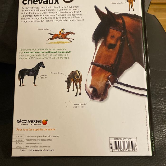 Le monde des chevaux - photo numéro 2