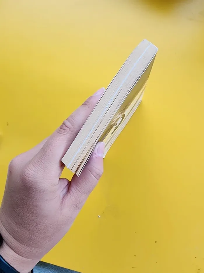 Livre de poche "sauvez Willy" de Jordan Horowitz - édition illustrée - photo numéro 5