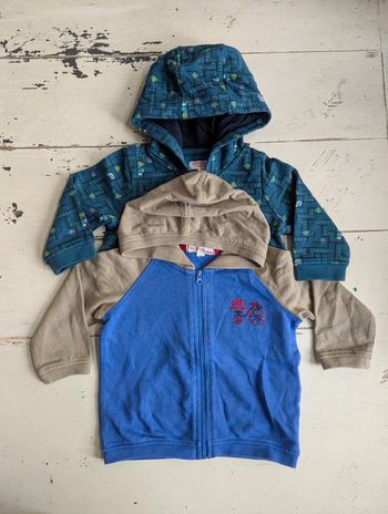 Lot de 2 sweats zippés DPAM