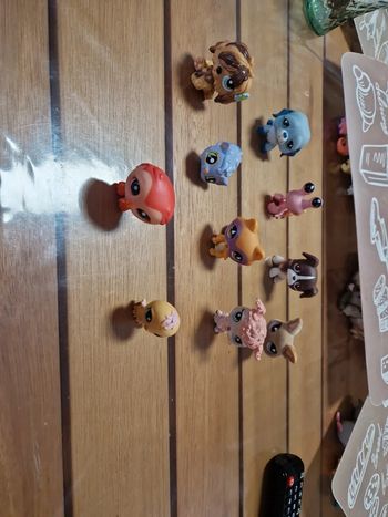 Lot Petshop (1)