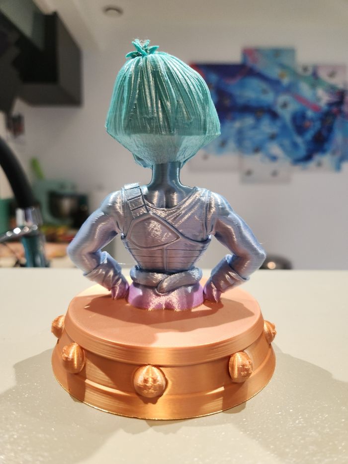 🔥 Figurine Dragon Ball Z – Selipa (Team Bardock) – Buste collector – Saiyan rare - photo numéro 4