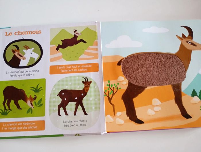 Les p'tits tout doux : les animaux de la montagne - photo numéro 3