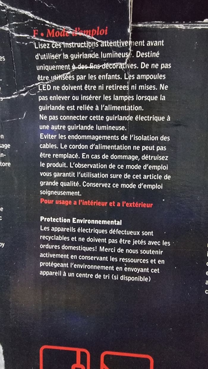 OURS LUMINEUX - photo numéro 5