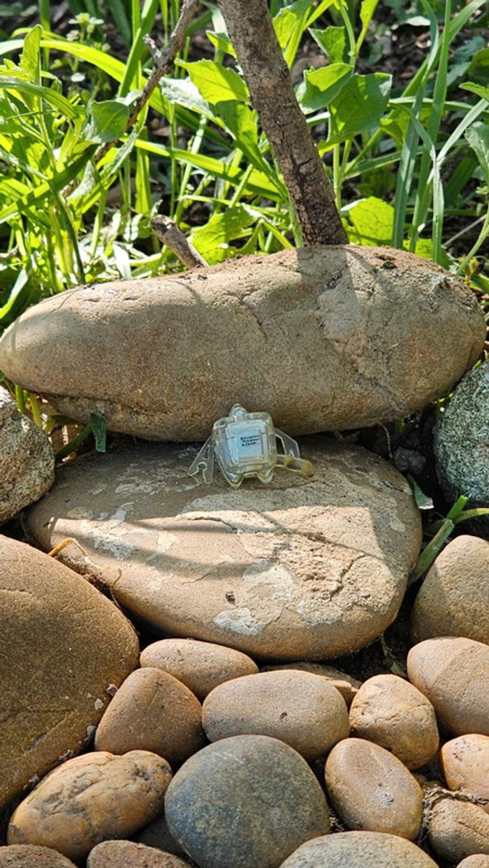 Super petite figurine Pokemon Nintendo Motisma - photo numéro 4