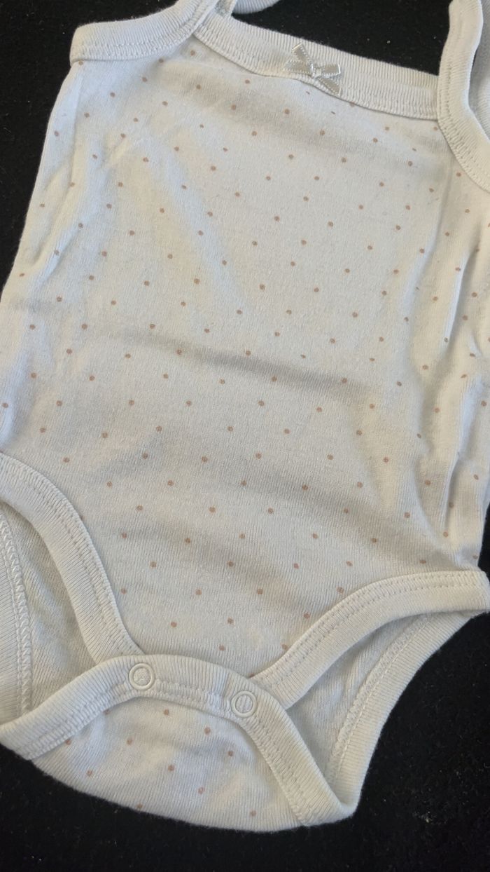 Bodie 3 mois - photo numéro 2