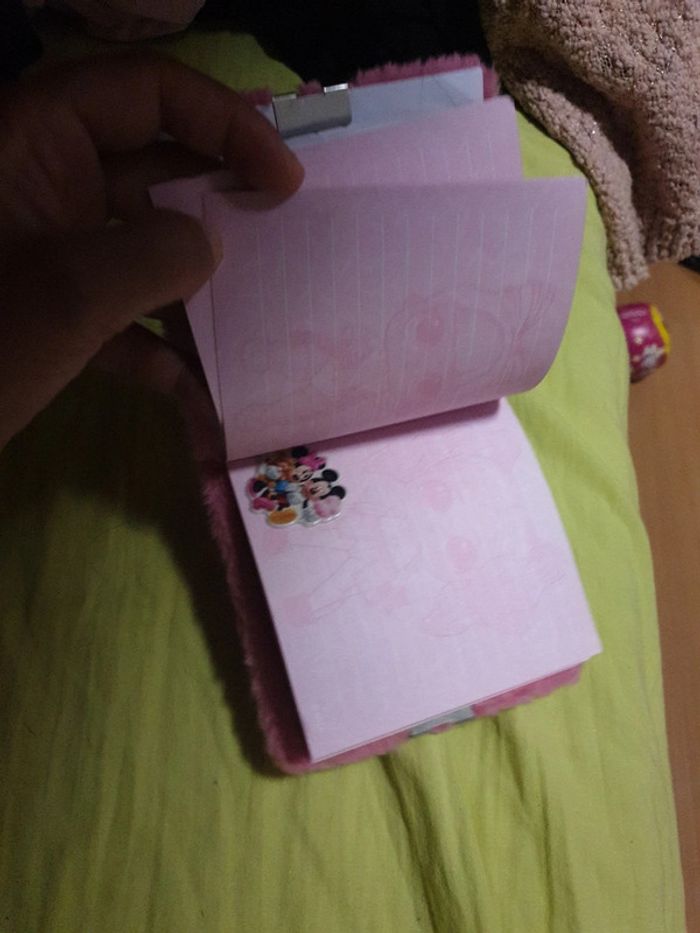 Petit carnet lol - photo numéro 2