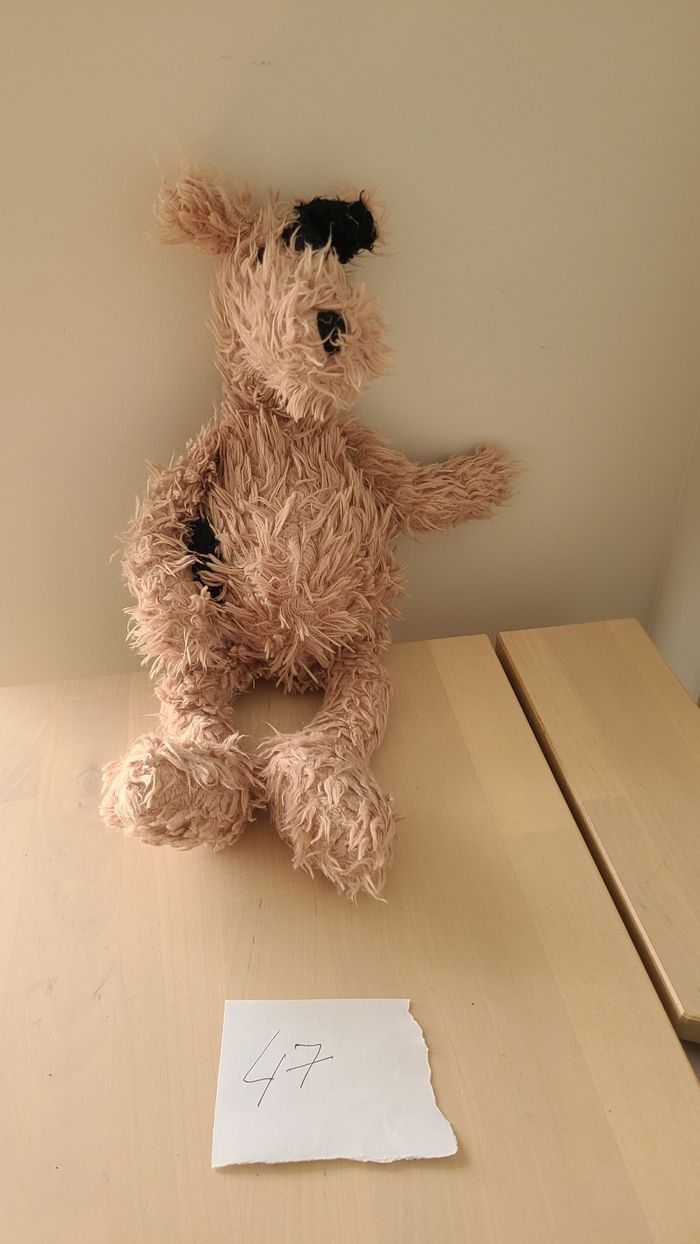 Doudou chien - photo numéro 7