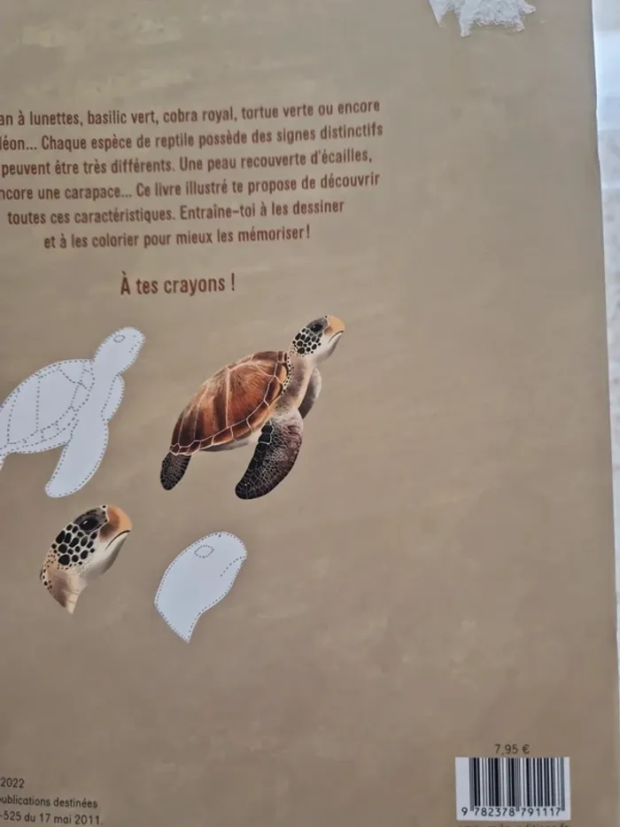Lot de 2 cahiers d'activités - photo numéro 4