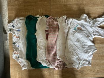 Lot de 6 bodies