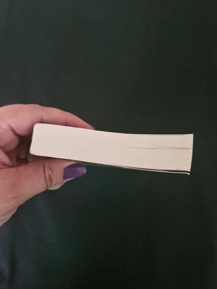L'épreuve - Tome 2 - La Terre Brûlée - James Dashner - photo numéro 5