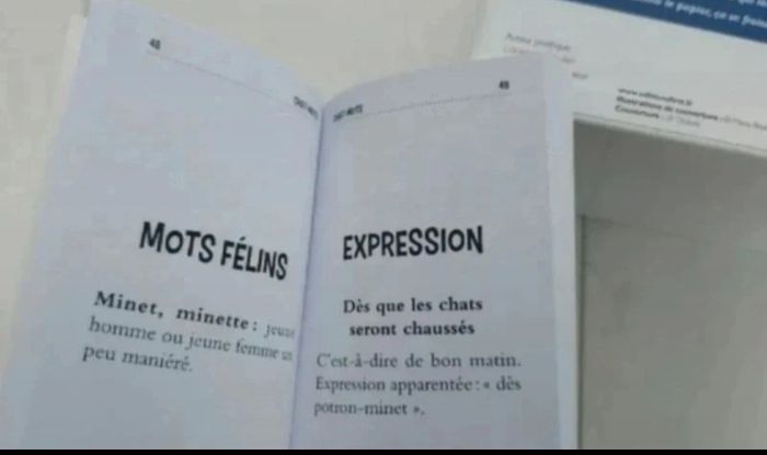 Coffret chat alors ! - photo numéro 6