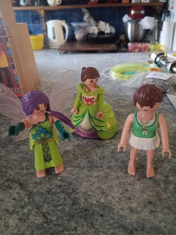 Ensemble playmobil princesse et fée playmobil